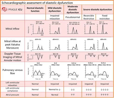 grade 1 left ventricular diastolic dysfunction